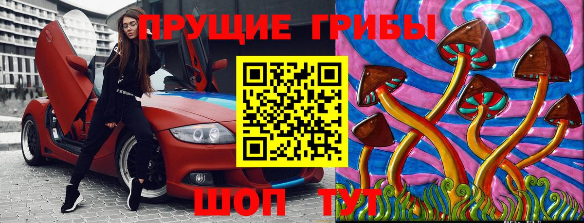 Псилоцибиновые грибы Psilocybe  Вход с VPN  Отрадное 